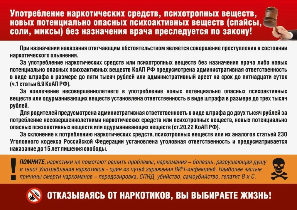 2025 03 27 12 31 45