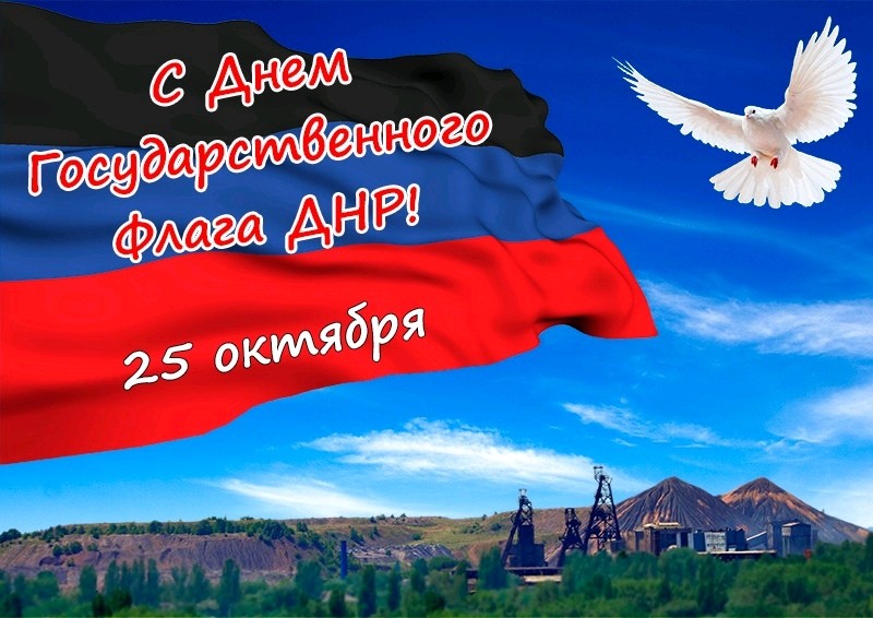 Flag DNR