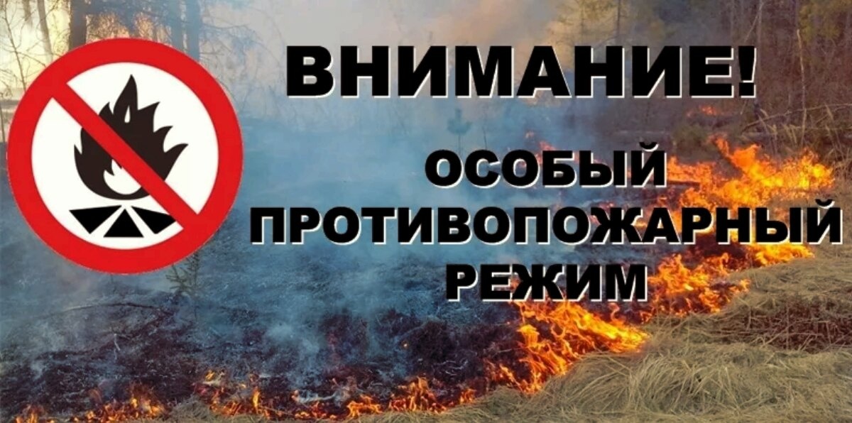 Пожарка 3