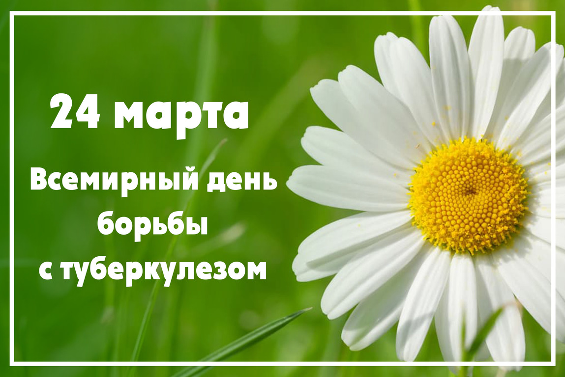 Туберкулёз