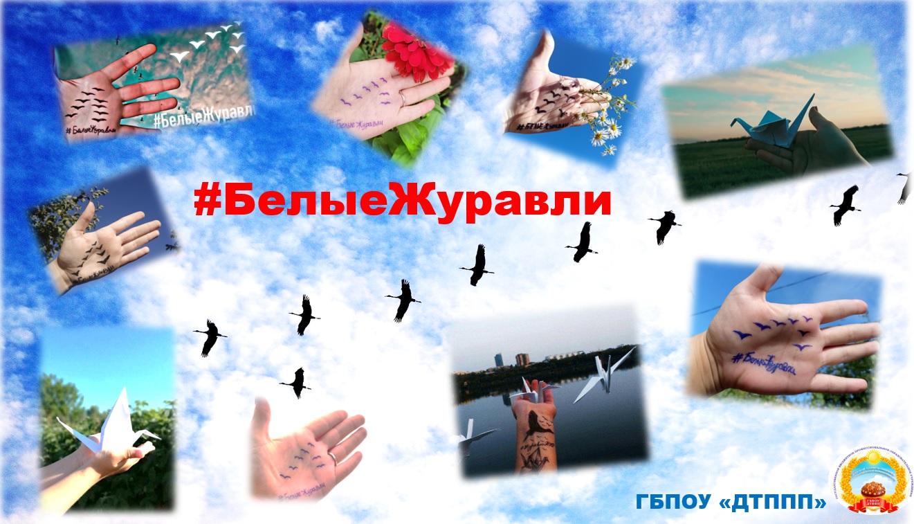 Фотоотчет БелыеЖуравли